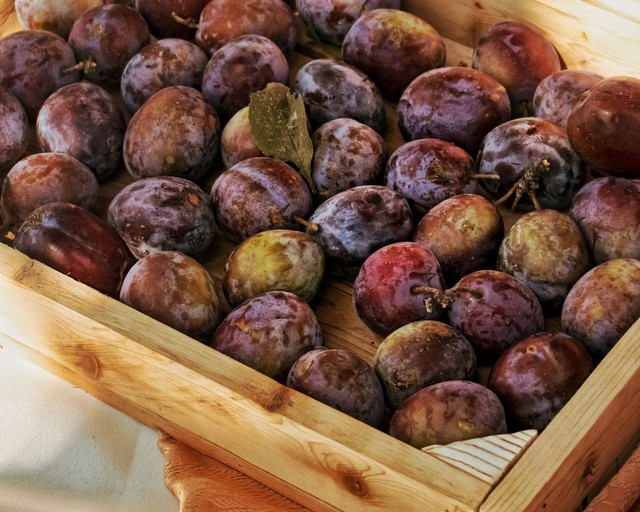 Ilustrasi buah plum. Foto: Pexels.