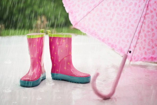 Ilustrasi Jenis-jenis Hujan Berdasarkan Proses Terjadinya. Foto: pixabay
