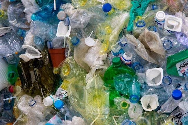 Ilustrasi ucapan selamat Hari Bebas Kantong Plastik Sedunia 2023, Photo by Magda Ehlers from Pexels