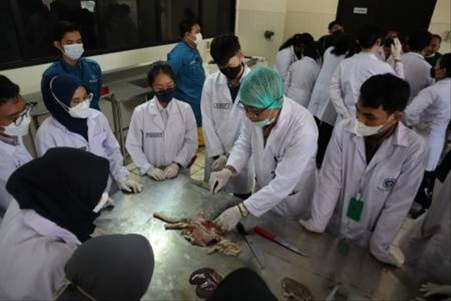SKHB IPB Lakukan Praktik Pemeriksaan Antemortem dan Postmortem Hewan Kurban