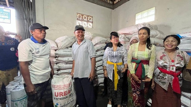 Digitalisasi kios pupuk bersubsidi PT Pupuk Indonesia (Persero) di Koperasi Krama Subak Lumbung Sari, Desa Temesi, Gianyar, Bali, Senin (3/7/2023). Foto: Fariza Rizky Ananda/kumparan