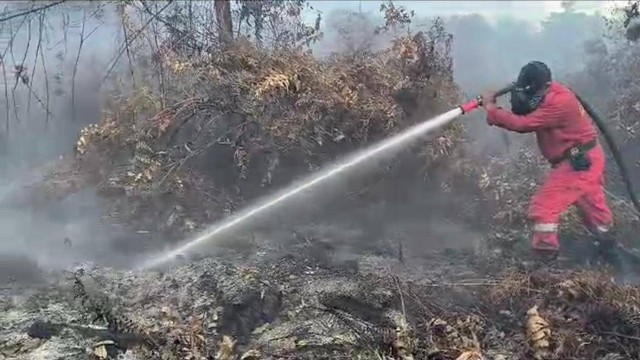 Personel Manggala Agni berusaha memadamkan api di Kelurahan Pangmilang. Foto: Dok Hi!Pontianak 