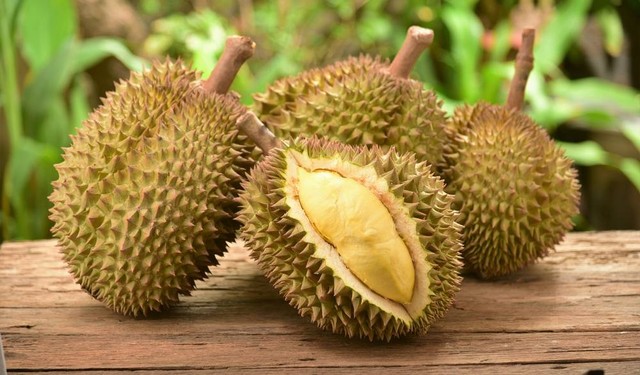 Ilustrasi Durian. Foto: Shutterstock