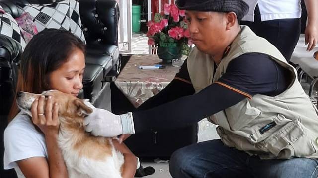Kegiatan vaksinasi rabies dari Dinas Ketahanan Pangan dan Pertanian Kabupaten Kepulauan Sitaro untuk hewan peliharaan masyarakat.