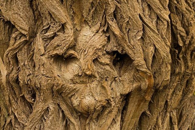 Ilustrasi pareidolia adalah. Foto: Pixabay