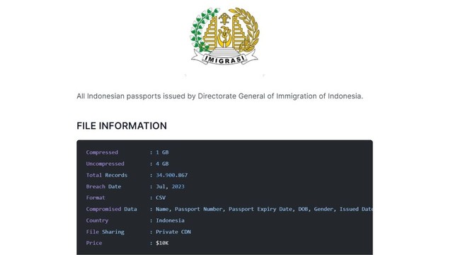 Data 34 juta paspor Indonesia diduga bocor. Foto: bjork.ai