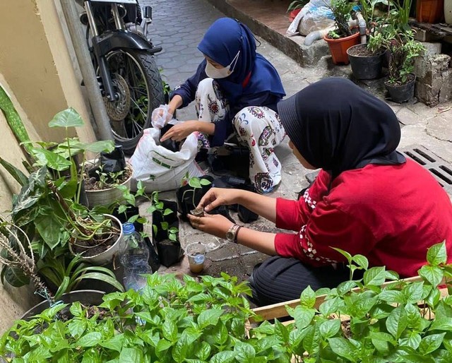 Pembuatan Lorong Sayur oleh mahasiswa KKN Universitas Ahmad Dahlan (UAD) di Kelurahan Tegal Panggung Yogyakarta (Foto: Istimewa)