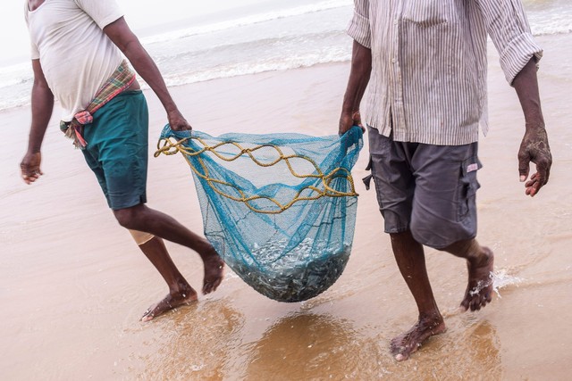 3 Cara Membuat Nuget Ikan. Foto: Pexels/Krishnendu Biswas.