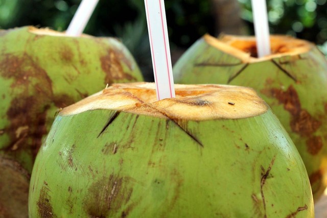 Ilustrasi manfaat minum air kelapa. Sumber: pixabay.com/Gadini