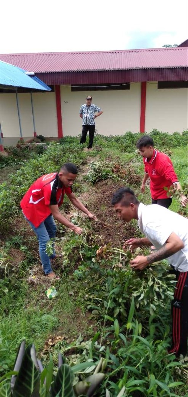 Kegiatan Pertanian Buahkan Hasil, Anak Binaan LPKA Tomohon Panen Kacang Tanah