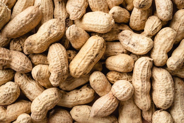 Ilustrasi manfaat kacang tanah. Foto: Pexels