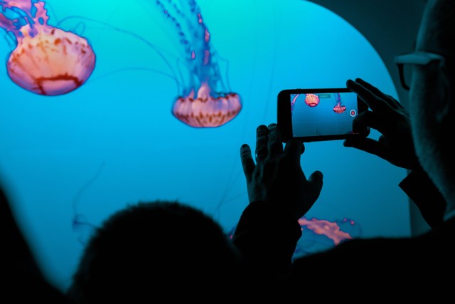 Under The Sea Experience ARARASA BSD, foto hanya ilustrasi: Unsplash/Tim Mossholder