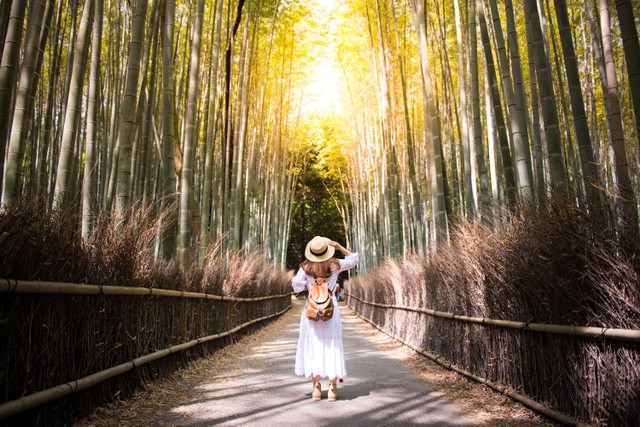 Ilustrasi wisatawan di Jepang. Foto: noina/Shutterstock
