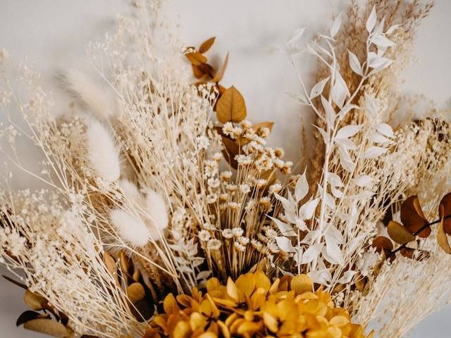 Ilustrasi Cara Mengeringkan Bunga. Foto: dok. Unsplash/Annie Spratt