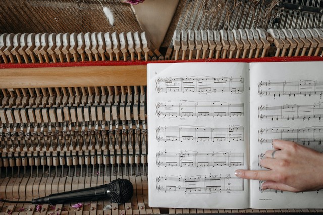 Dalam konteks musik, harmoni mengacu pada kombinasi dan hubungan suara yang terjadi secara bersama. Foto: Pexels.com