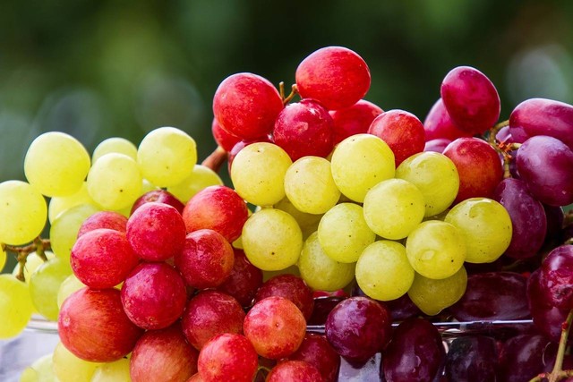 Ilustrasi buah beranak mpls - Sumber: pixabay.com/nickype