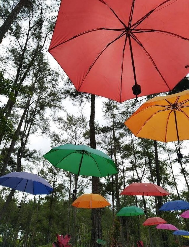 Sumber gambar : Dokumen Pribadi, Payung Gantung Kemit Forest Education, Sidareja, Cilacap