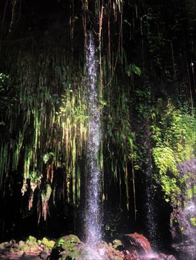  Curug Tirto Widodari di wisata Bhumi Bambu Baturraden, Banyumas, Jawa Tengah (Jum’at, 9/6/2023) Sumber: Dokumentasi Pribadi 