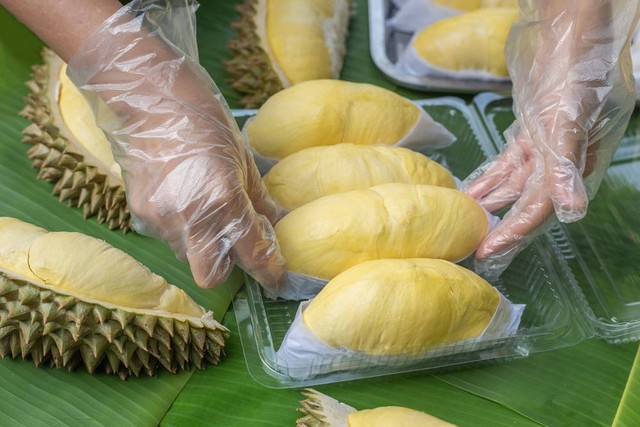 Ilustrasi makan durian. Foto: Shutterstock