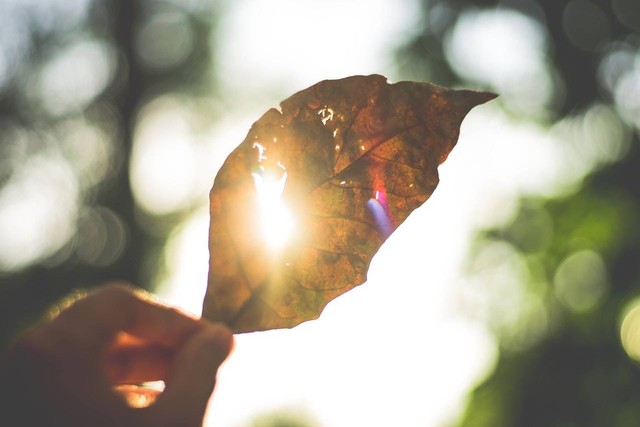 Satuan Besarnya Intensitas Cahaya dalam Sistem SI TTS. Sumber: Pexels/Kaique Rocha