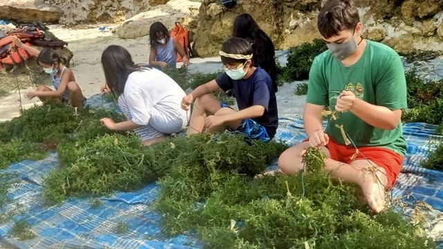 Ilsutrasi - turis asing menikmati kegiatan mengolah rumput laut di Nusa Penida - IST