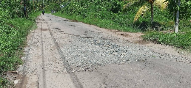 Ruas jalan dari Pulau Pedalaman ke Kuala mengalami kerusakan. Foto: M. Zain/Hi!Pontianak