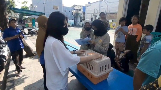 Pelaksanaan vaksinasi dan pemberian obat cacing serta vitamin bagi kucing di Kampung Sunter Muara, RW 05, Sunter Agung, Tanjung Priok, Jakut, Jumat (14/7).  Foto: Thomas Bosco/kumparan