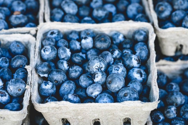 Ilustrasi Manfaat Buah Blueberry. Sumber: Pexels/veeterzy