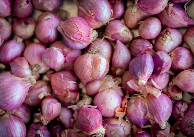 Ilustrasi Cara Nanam Bawang, Foto: Unsplash/Dean David