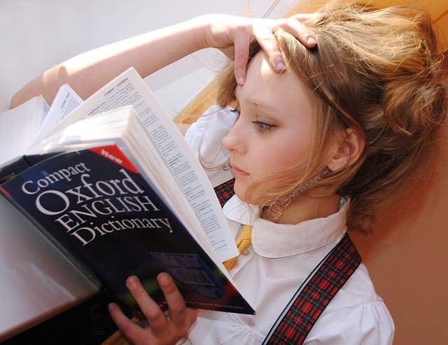 Pengertian reading slump adalah. Sumber: Pixabay/ libellule789