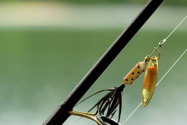 Ilustrasi Umpan Ikan Sembilang. Foto: dok. Unsplash/Anna Marie