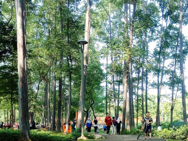 Kesejukan dan keramaian Tebet Eco Park. Foto : Salsabila Putri Nareswari