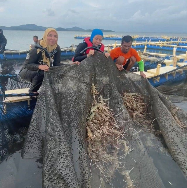 Budidaya lobster milik warga di Pulau Cempedak, yang kini masuk ke paket wisata bahari di Ketapang. Foto: Dok Hi!Pontianak