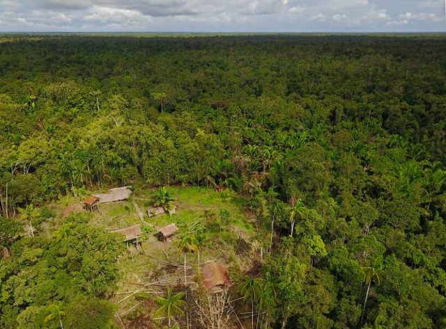 rumah pohon korowai di pembukaan hutan papua barat indonesia.  foto: istockphoto.com/guenterguni