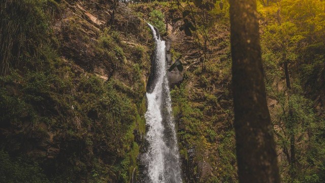 Ilustrasi air terjun tertinggi di Indonesia. Sumber foto: pexels/Snapwire.