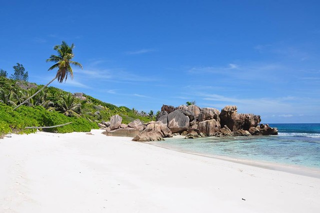 Ilustrasi pantai pasir putih banten. Sumber: www.unsplash.com