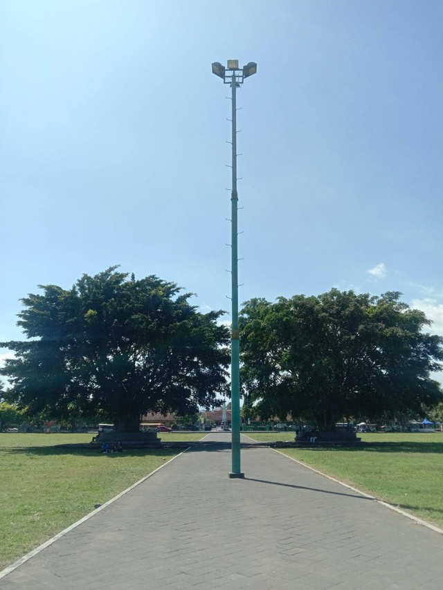 Dua pohon yang berada di tengah alun -alun Banyumas ( sumber: Foto pribadi )