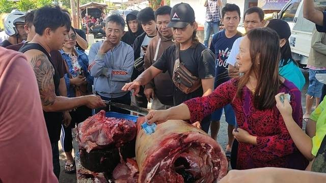 Warga menyerbu Desa Sonder di Kabupaten Minahasa untuk membeli daging babi yang dijual dengan harga miring. (foto: febry kodongan/manadobacirita)