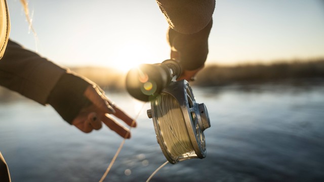 llustrasi Cara Memancing Ikan Bandeng. Sumber: Unsplash