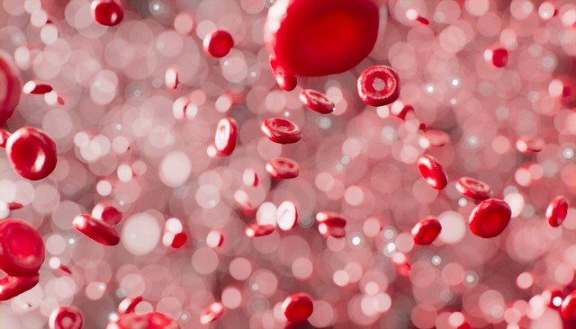 Ilustrasi Cara Cepat Menaikkan Hemoglobin, Foto Unsplash/Anirudh