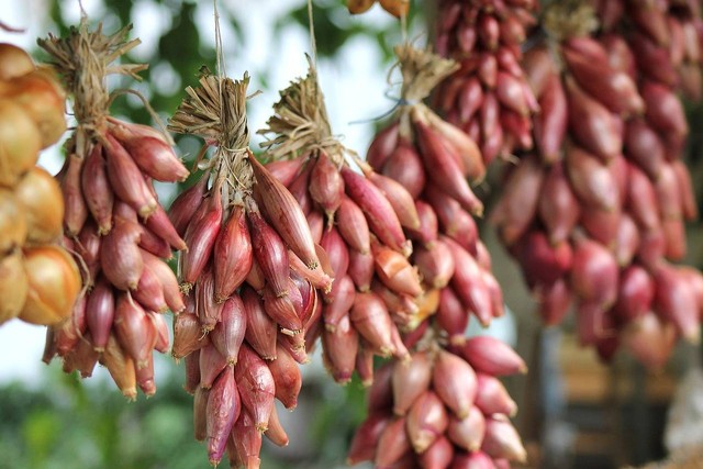 Ilustrasi manfaat bawang dayak untuk kesehatan. Sumber: Pixabay/IlonaBurshchl