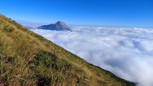 "Pemandangan Rumput ilalang dan Awan Diatas Gunung Merbabu//Sumber:Dok.Pribadi"