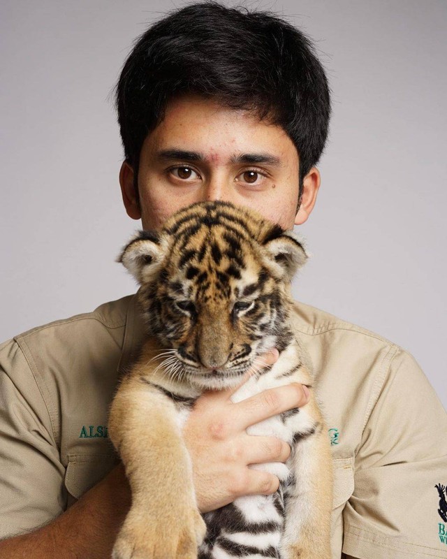 Anak harimau yang dipelihara Alshad Ahmad mati. Foto: Instagram/@alshadahmad