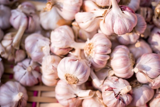 Ilustrasi Manfaat Makan Bawang Putih Mentah. Sumber: Unsplash/Team Voyas