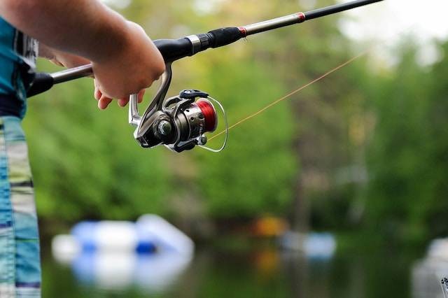 Ilustrasi Galatama dalam Sistem Pemancingan Ikan. Foto: dok. Unsplash/Clark Young