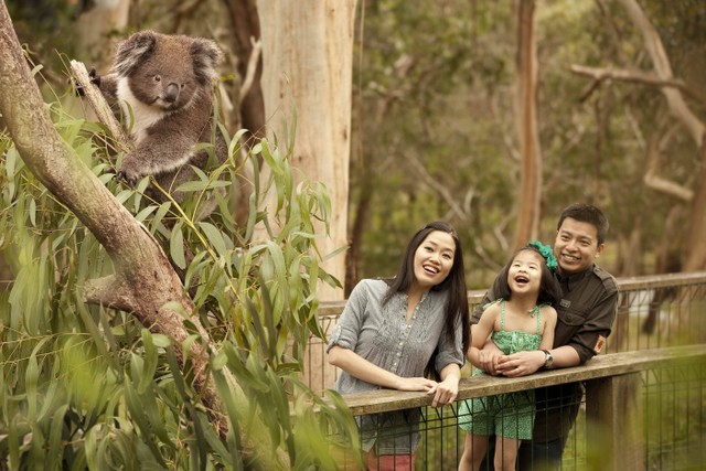 Keluarga berkunjung ke kebun binatang di Melbourne. Foto: dok. Visit Victoria Melbourne