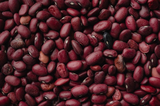 Ilustrasi cara menanam kacang merah di kapas (Pexels)