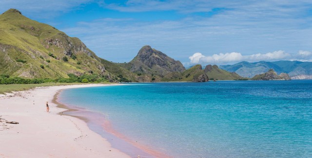 Ilustrasi pink beach. Foto: unsplash.com/Marcus Woodbridge