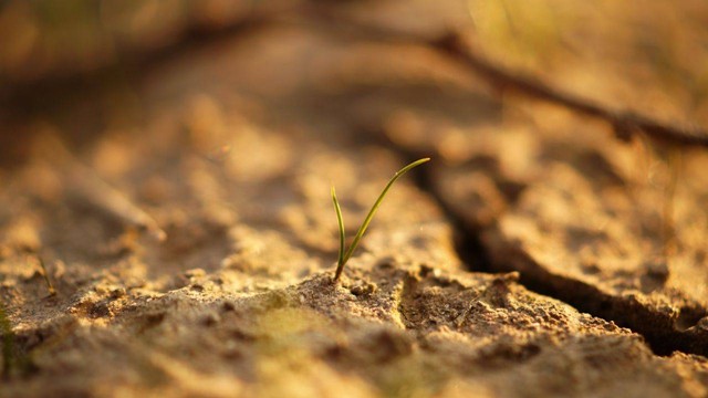 Ilustrasi tanah podsolik. Foto: Pexels