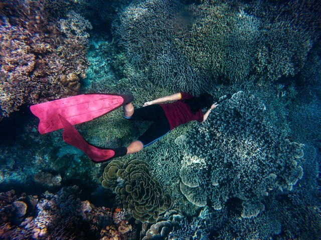 Ilustrasi Ucapan Hari Snorkeling Sedunia 2023. Pexels/John Cahil Rom.